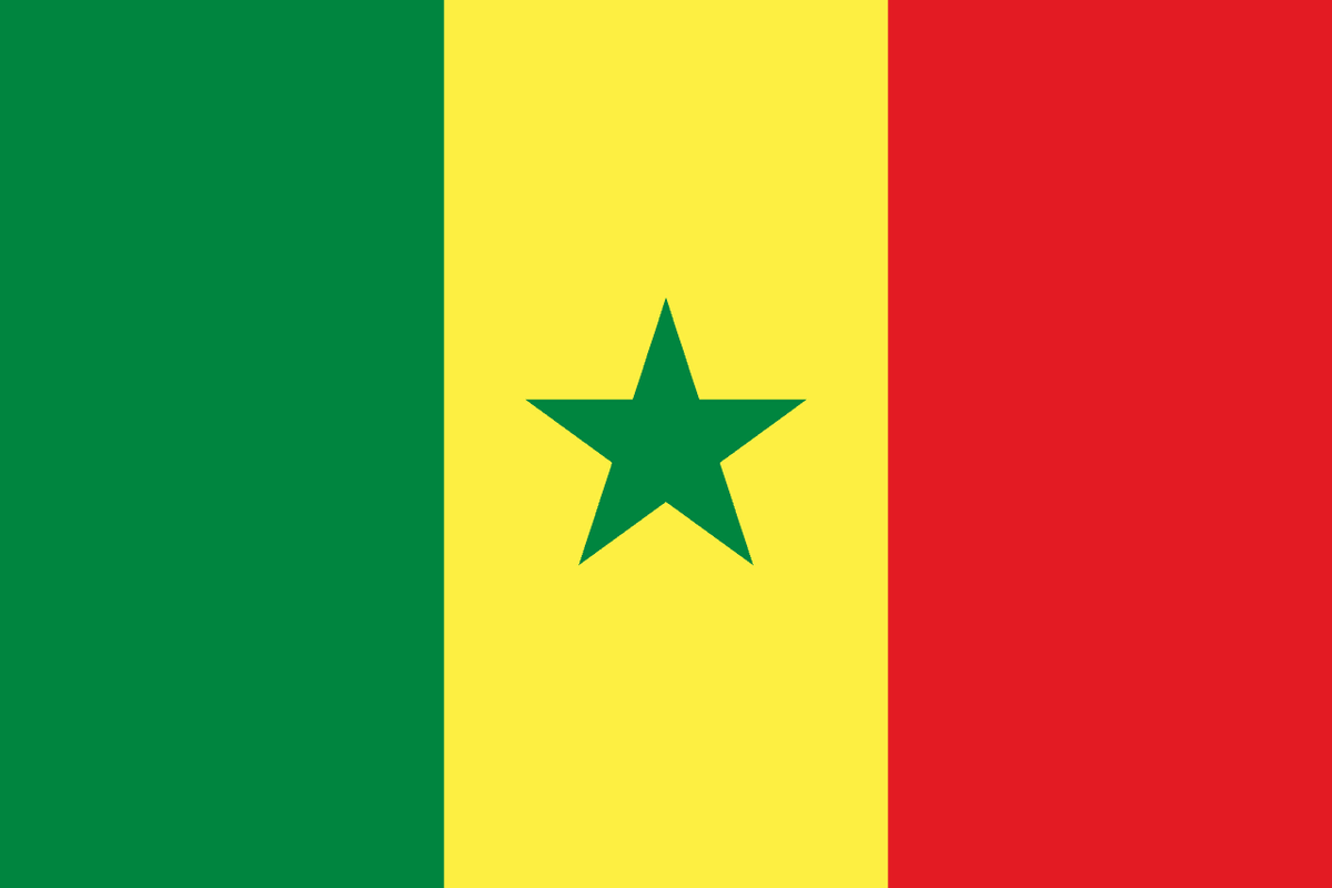 flag-SN