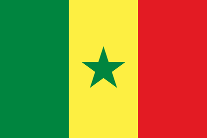 flag-SN