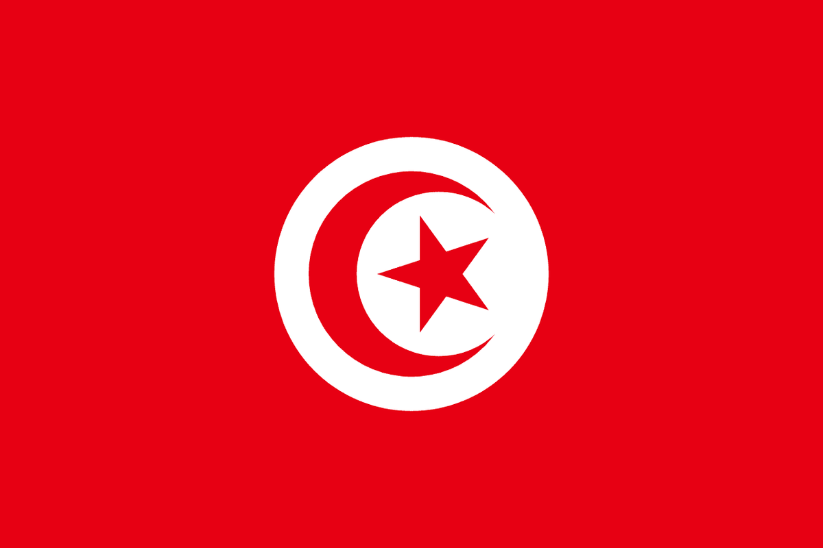 flag-TN